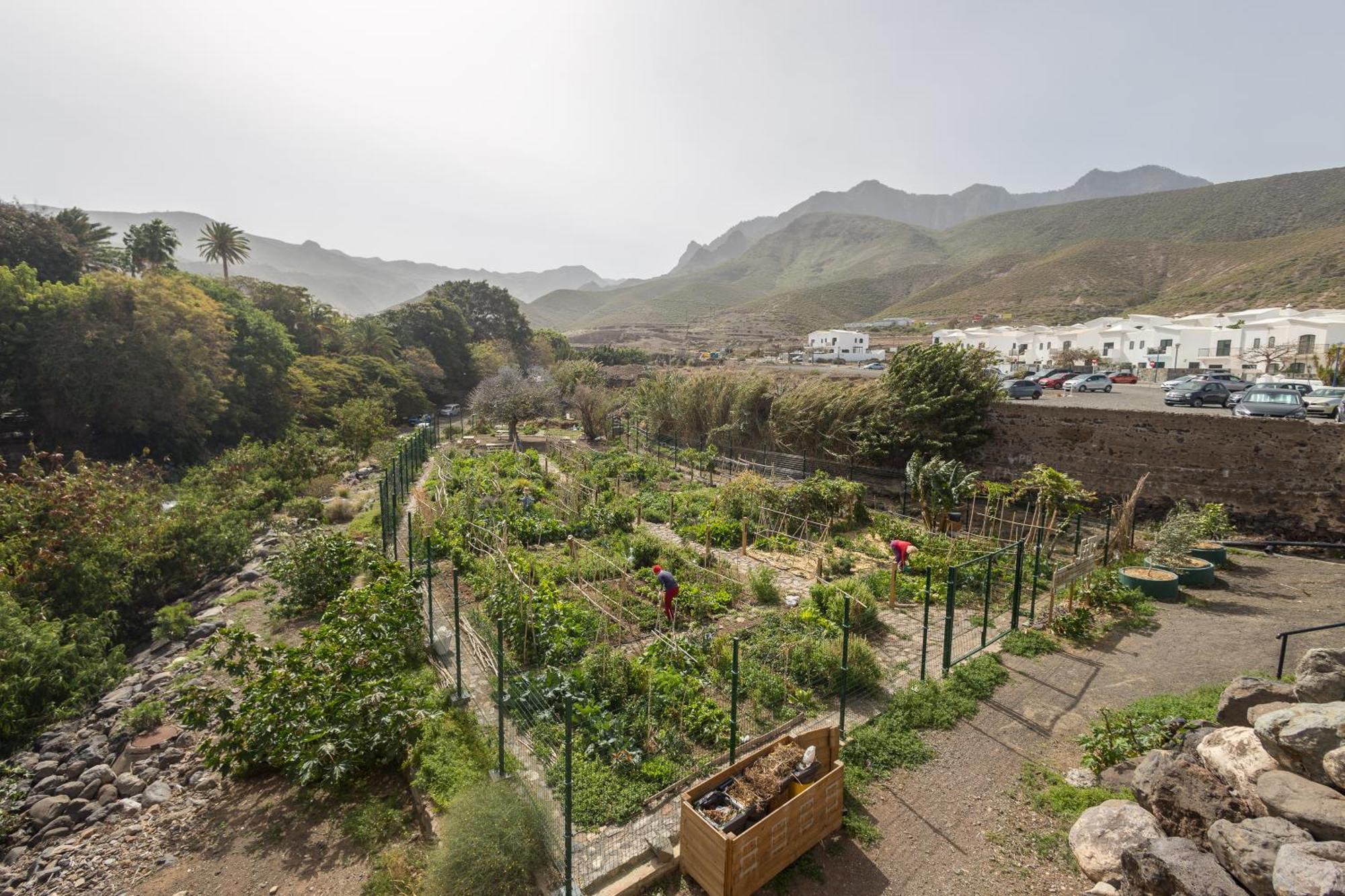 Apartamento Casa Carmen Agaete Con Terraza Y Vistas Al Mar Exterior foto